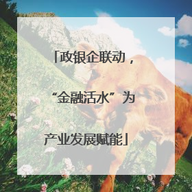 政银企联动，“金融活水”为产业发展赋能